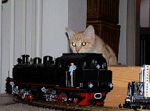 Neroandthemodellrailway3.JPG
